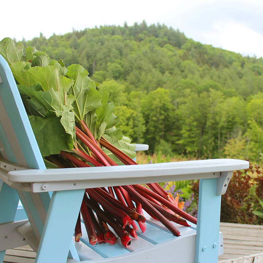 Rhubarb with Dandelion & Honey