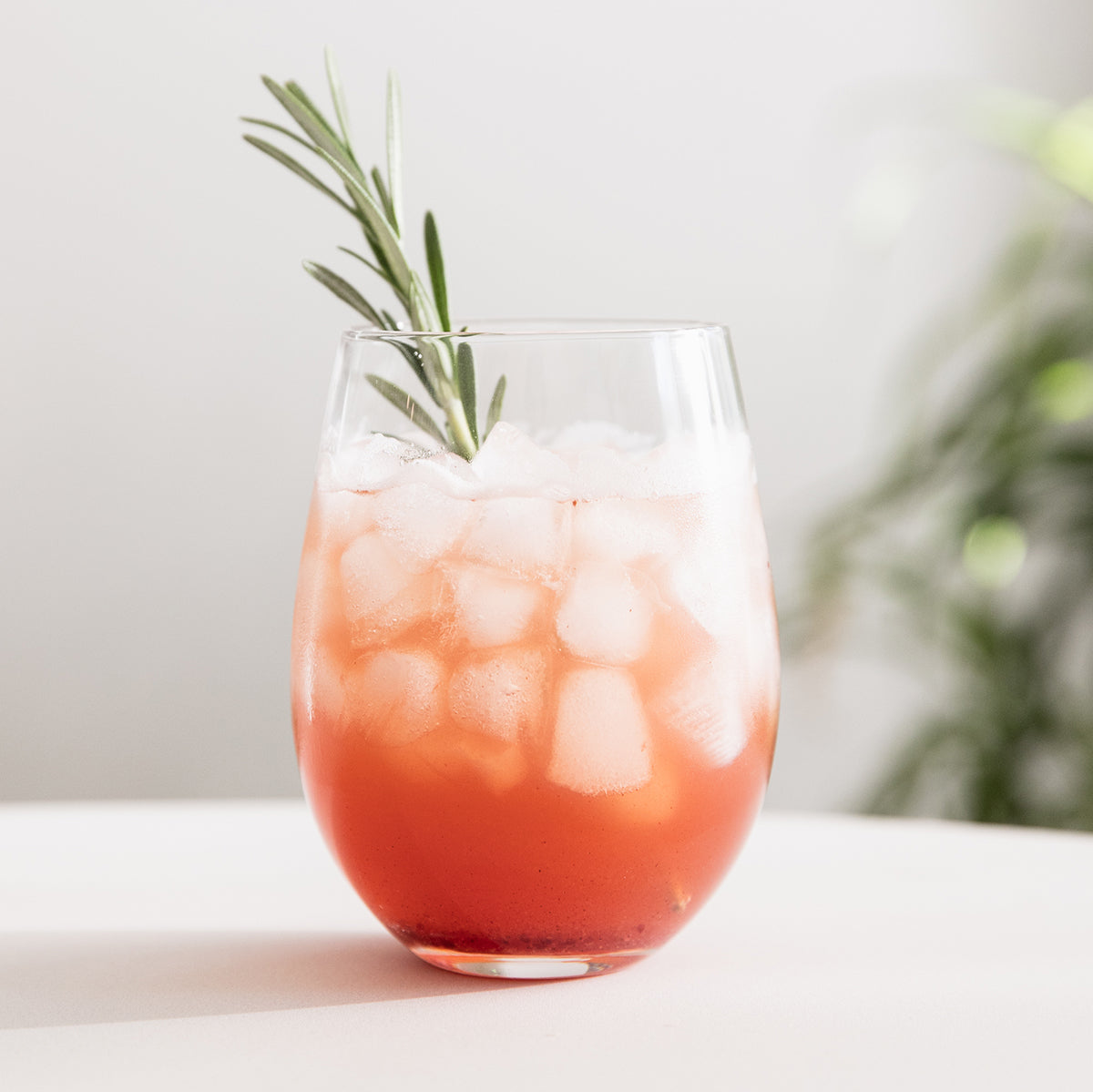 Blake Hill Holiday Jam 10.8oz