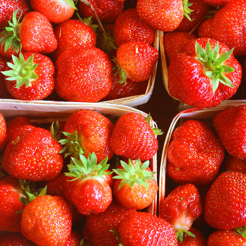 Strawberry Rhubarb Preserve 10.8oz